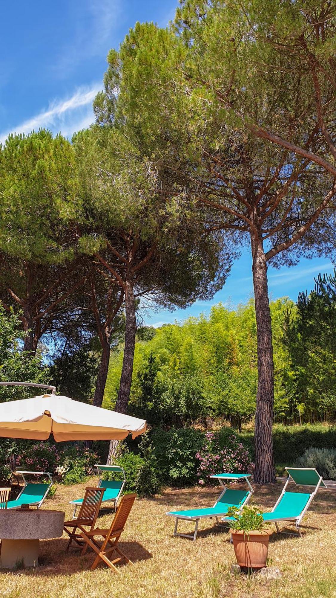 Agriturismo Podere Le Tombe Guest House Palaia Exterior photo